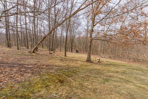 Tiny photo for 107 Lost Lane, Savanna, IL 61074 (MLS # 12604381)