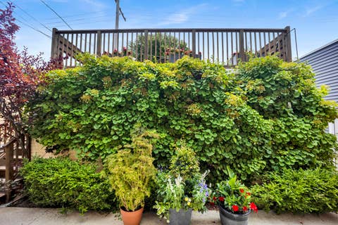 Tiny photo for 1727 W PETERSON Avenue, Chicago, IL 60660 (MLS # 12683182)