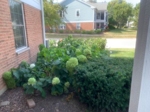 Tiny photo for 1311 Nutmeg Court #A, Mount Prospect, IL 60056 (MLS # 12468278)