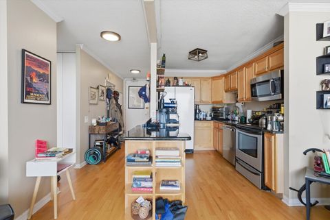 Tiny photo for Chicago, IL 60611 (MLS # 12621403)