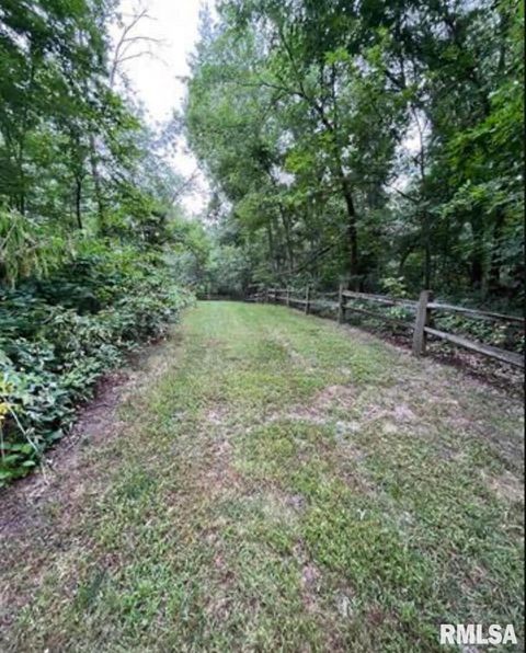 Tiny photo for 1596 230TH Street, Calamus, IA 52729 (MLS # QC4266504)