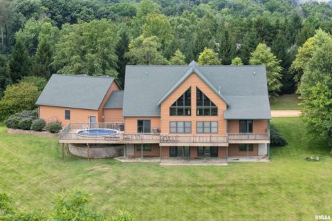 Tiny photo for 1596 230TH Street, Calamus, IA 52729 (MLS # QC4266504)