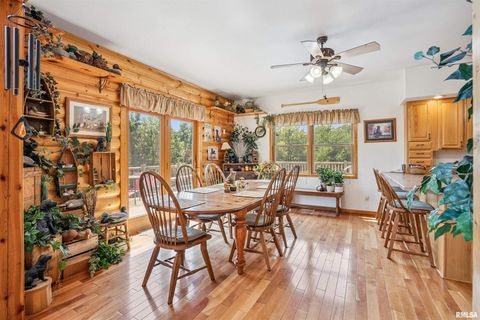 Tiny photo for 1596 230TH Street, Calamus, IA 52729 (MLS # QC4266504)