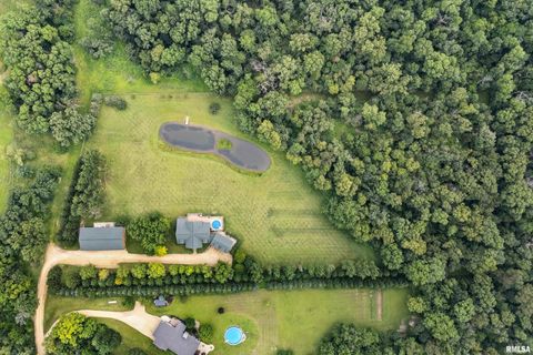 Tiny photo for 1596 230TH Street, Calamus, IA 52729 (MLS # QC4266504)