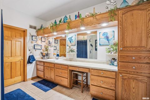 Tiny photo for 1596 230TH Street, Calamus, IA 52729 (MLS # QC4266504)