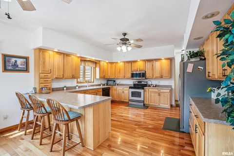 Tiny photo for 1596 230TH Street, Calamus, IA 52729 (MLS # QC4266504)