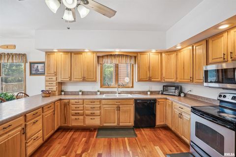 Tiny photo for 1596 230TH Street, Calamus, IA 52729 (MLS # QC4266504)