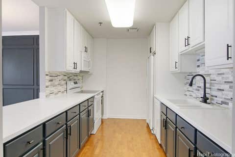 Tiny photo for 77 S Evergreen Avenue #206, Arlington Heights, IL 60005 (MLS # 12666175)