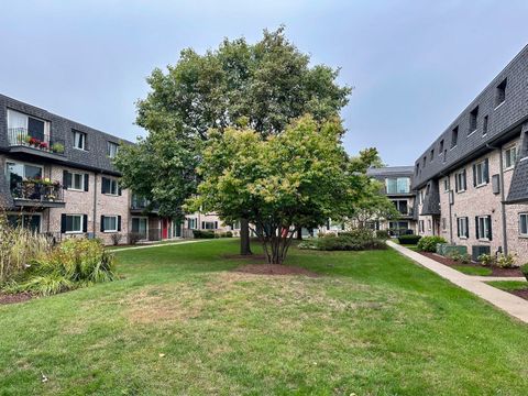 Tiny photo for 904 S Plum Grove Road #301, Palatine, IL 60067 (MLS # 12496717)