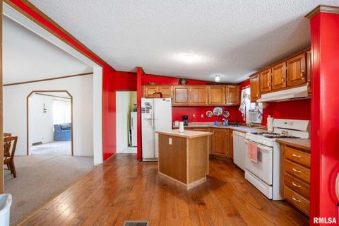 Tiny photo for 4543 HARVEY Street, Coello, IL 62825 (MLS # EB460581)