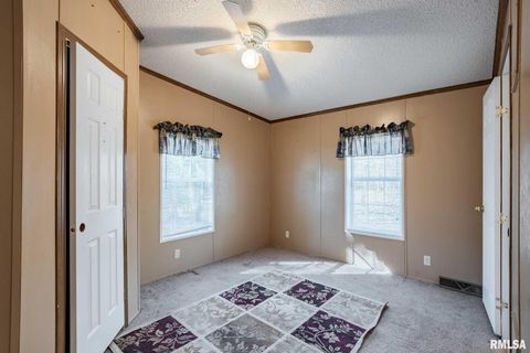 Tiny photo for 4543 HARVEY Street, Coello, IL 62825 (MLS # EB460581)