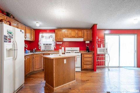 Tiny photo for 4543 HARVEY Street, Coello, IL 62825 (MLS # EB460581)