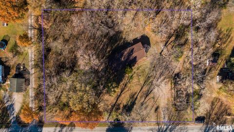 Tiny photo for 4543 HARVEY Street, Coello, IL 62825 (MLS # EB460581)