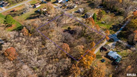 Tiny photo for 4543 HARVEY Street, Coello, IL 62825 (MLS # EB460581)