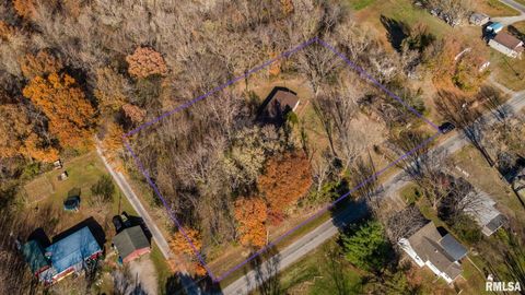 Tiny photo for 4543 HARVEY Street, Coello, IL 62825 (MLS # EB460581)