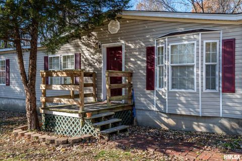 Tiny photo for 4543 HARVEY Street, Coello, IL 62825 (MLS # EB460581)