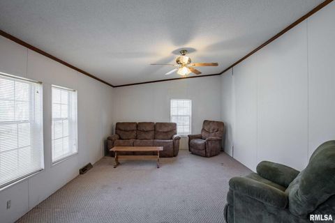 Tiny photo for 4543 HARVEY Street, Coello, IL 62825 (MLS # EB460581)