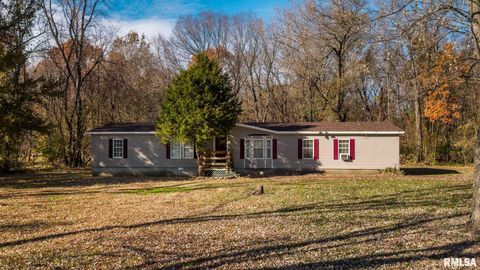 Tiny photo for 4543 HARVEY Street, Coello, IL 62825 (MLS # EB460581)