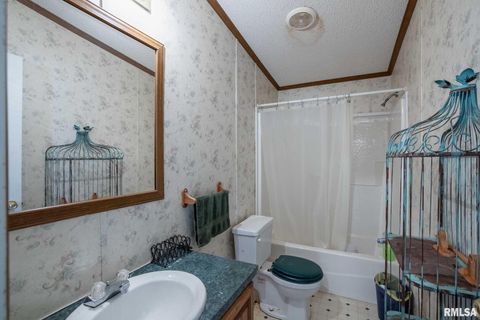 Tiny photo for 4543 HARVEY Street, Coello, IL 62825 (MLS # EB460581)