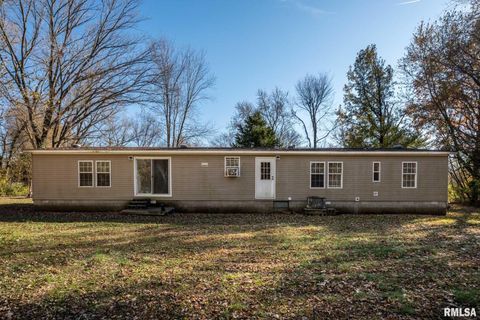 Tiny photo for 4543 HARVEY Street, Coello, IL 62825 (MLS # EB460581)