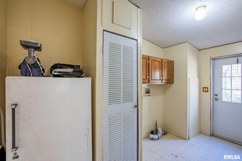 Tiny photo for 4543 HARVEY Street, Coello, IL 62825 (MLS # EB460581)