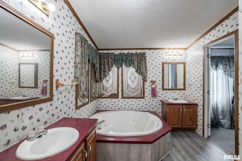 Tiny photo for 4543 HARVEY Street, Coello, IL 62825 (MLS # EB460581)