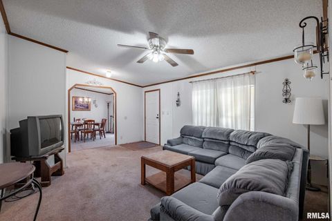 Tiny photo for 4543 HARVEY Street, Coello, IL 62825 (MLS # EB460581)