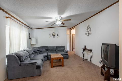 Tiny photo for 4543 HARVEY Street, Coello, IL 62825 (MLS # EB460581)