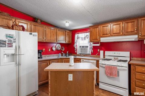 Tiny photo for 4543 HARVEY Street, Coello, IL 62825 (MLS # EB460581)