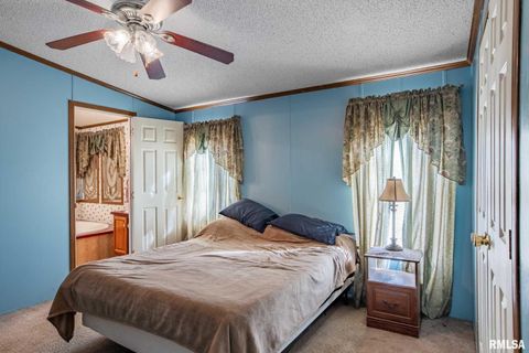 Tiny photo for 4543 HARVEY Street, Coello, IL 62825 (MLS # EB460581)