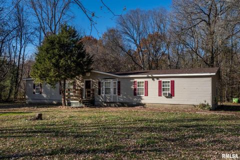 Photo of 4543 HARVEY Street, Coello, IL 62825 (MLS # EB460581)