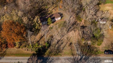 Tiny photo for 4543 HARVEY Street, Coello, IL 62825 (MLS # EB460581)