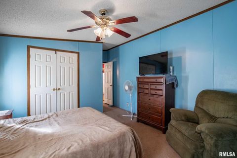 Tiny photo for 4543 HARVEY Street, Coello, IL 62825 (MLS # EB460581)