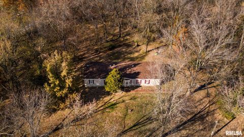 Tiny photo for 4543 HARVEY Street, Coello, IL 62825 (MLS # EB460581)