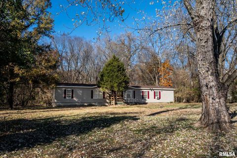 Tiny photo for 4543 HARVEY Street, Coello, IL 62825 (MLS # EB460581)