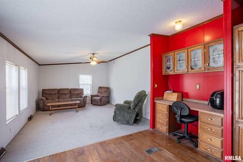 Tiny photo for 4543 HARVEY Street, Coello, IL 62825 (MLS # EB460581)