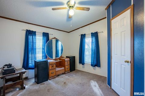 Tiny photo for 4543 HARVEY Street, Coello, IL 62825 (MLS # EB460581)