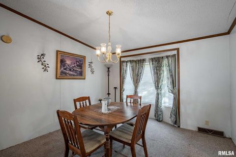 Tiny photo for 4543 HARVEY Street, Coello, IL 62825 (MLS # EB460581)