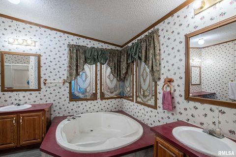 Tiny photo for 4543 HARVEY Street, Coello, IL 62825 (MLS # EB460581)