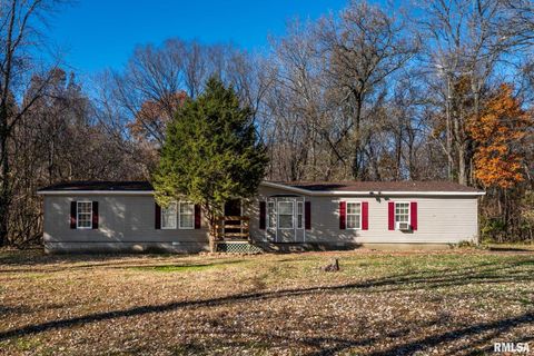 Tiny photo for 4543 HARVEY Street, Coello, IL 62825 (MLS # EB460581)