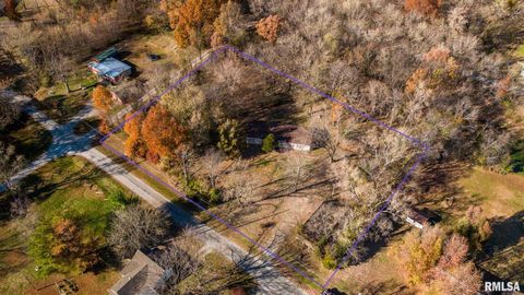 Tiny photo for 4543 HARVEY Street, Coello, IL 62825 (MLS # EB460581)