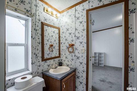 Tiny photo for 4543 HARVEY Street, Coello, IL 62825 (MLS # EB460581)