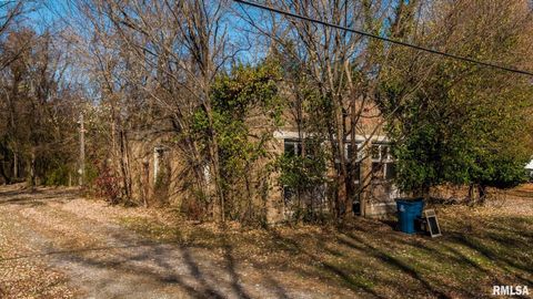 Tiny photo for 4543 HARVEY Street, Coello, IL 62825 (MLS # EB460581)