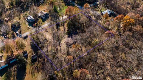 Tiny photo for 4543 HARVEY Street, Coello, IL 62825 (MLS # EB460581)