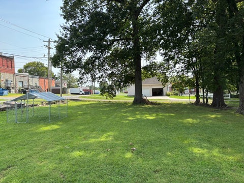 Tiny photo for 207 S Washington Street, Mcleansboro, IL 62859 (MLS # 12731328)