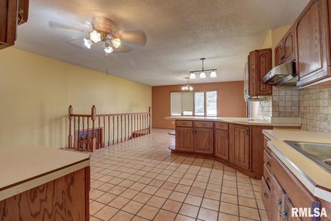 Tiny photo for 1356 SPRINGDALE Drive, Clinton, IA 52732 (MLS # QC4266556)