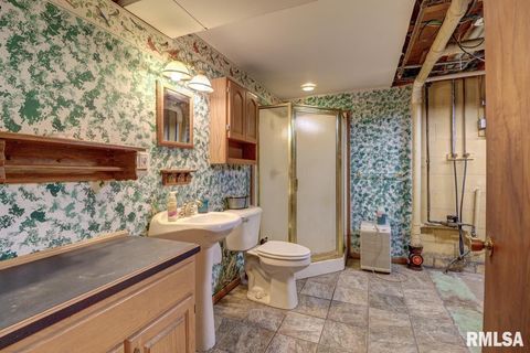 Tiny photo for 1356 SPRINGDALE Drive, Clinton, IA 52732 (MLS # QC4266556)