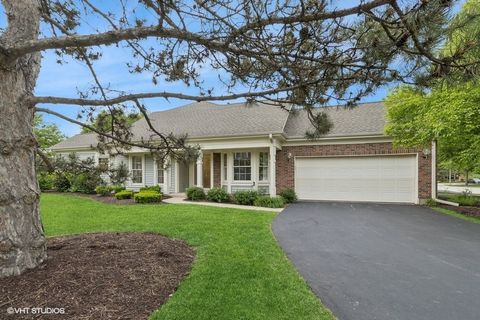 235 SPRING CREEK Circle 0 Schaumburg IL 60173