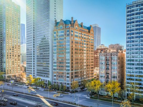 1120 N Lake Shore Drive 15A Chicago IL 60611