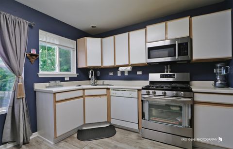Tiny photo for 159 E Elk Court, Grayslake, IL 60030 (MLS # 12467649)
